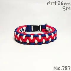 Item thumbnail for item 7ea425b9-b7d3-45d5-be30-fbbab88f9f39