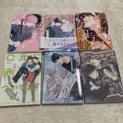 ＢＬコミック　6冊セット　ＢＬ小説　ＢＬ新刊　組み替えOK