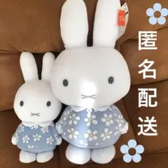 【新品】ミッフィー✧SLサイズぬいぐるみ 5種セット 2025年最新】ミッフィー slサイズの人気アイテム - メルカリ