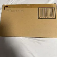 真骨彫製本S.H.Figuartsサイクロン1号 仮面ライダーTHE NEXT