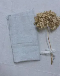 Item thumbnail for item 02f19611-dd82-499d-ba49-40db4cda25d1