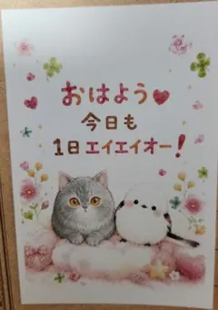 シマエナガ 猫 イラスト ポストカード 癒し メッセージ