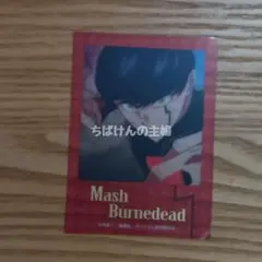 283【3点で300円】マッシュル カード