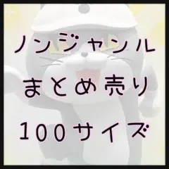 ノンジャンルまとめ売り 100サイズ