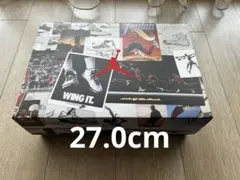 UNION × Nike Air Jordan 