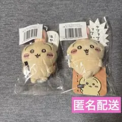 うさぎだらけくじ