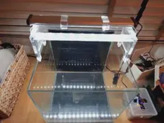 nuvo aquarium サイドフロー水槽　レア中古 nuvo aquarium サイドフロー水槽 レア中古 - メルカリ