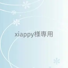 xiappy様 リクエスト 2点 まとめ商品