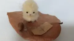 Item thumbnail for item 23d4ac09-3300-4ca3-a381-ef4bec8d75cd