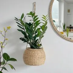 バスケット 吊り下げ 鉢カバー 観葉植物 プランターカバー 収納かご 223
