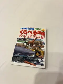 Item thumbnail for item 192a01a7-7c47-4ef4-a883-f2f4534ec0ac