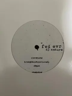 dj nature / everyone 12inch ハウス テクノ ダブ