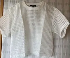 Item thumbnail for item f985c687-73ae-4bdc-ba51-330ef0918d6c