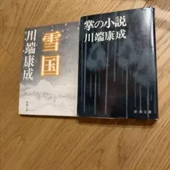 川端康成 雪国 掌の小説 新潮文庫 2冊セット