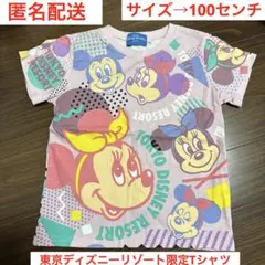 匿名配送】東京ディズニーリゾート限定Tシャツ　100センチ　キッズ服　半袖　総柄