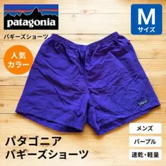 人気廃盤カラー パタゴニア バギーズショーツ 5インチ PUR size S