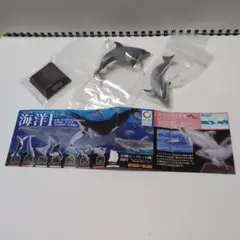海洋Ⅰ　ハンドウイルカのサムネイル