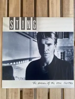 LP★STING 藍色海龜之夢 送料込