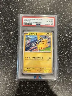 PSA10 ピカチュウ 197/SV-P ジムイベント プロモ 2024