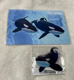 2025年最新】名古屋港水族館 りんの人気アイテム - メルカリ