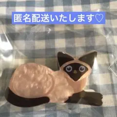 Item thumbnail for item ddd5f644-d0ae-4a3b-8c6a-5f78599d6368