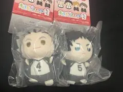 ハイキュー 木兎光太郎 赤葦京治もちもちマスコットたっちvol.2