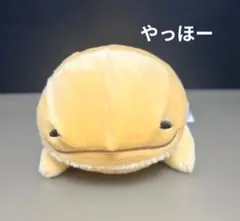 オーさんしょうさん やっほー STサイズぬいぐるみ オーさんしょうさん やっほー STサイズ ぬいぐるみ ぬーぬー - メルカリ