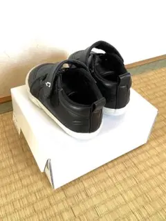 Item thumbnail for item 38a470e1-c27b-4d22-b80d-9e022288956c