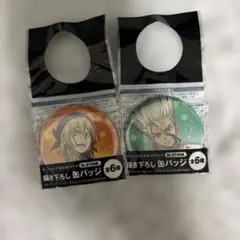 Dr.STONE 缶バッジ 2個セット