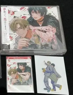 純情でなにが悪い　BLドラマCD コミコミ