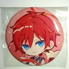 Re:ゼロから始める異世界生活 リゼロ ラインハルト 缶バッジ きらきら