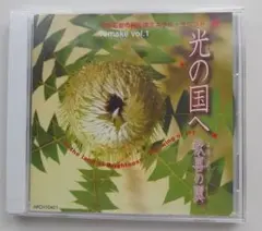 光の国へ remake vol.1 歓喜（よろこび）の翼
