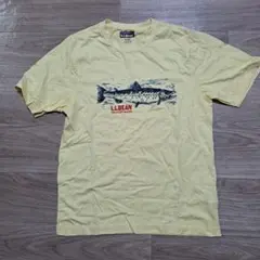 Item thumbnail for item 809b69f3-88d7-4027-a3b4-81ef1f3f6ebf