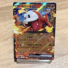 ポケモンカード 30th ホゲータex RR 009/103
