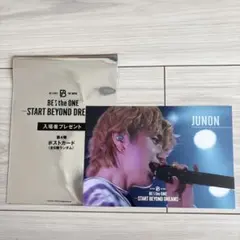 【新品】BE:FIRST 映画入場特典　第4弾　ポストカード　JUNON