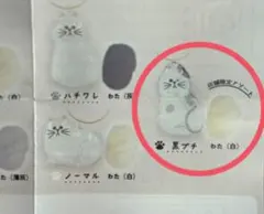 【正規品】うちの子のけだまだま 店舗限定　黒ぶち