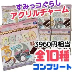 すみっコぐらしのアクリルチャーム 全10種 コンプリート お菓子あり