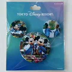 イマジニングザマジック 缶バッジ　缶バッチ　ディズニー　ファンタジースプリングス