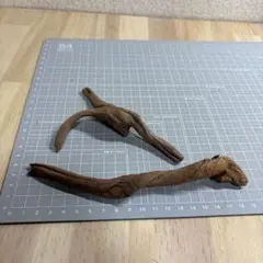 水槽用流木　3本セット