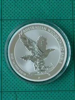 호주 롱 테일 호크 스털링 실버 1oz