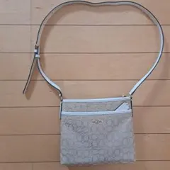 Item thumbnail for item 87fee266-d25c-4f63-bfc9-263cf368d978