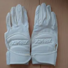 Item thumbnail for item baf2f0b7-96da-4874-8381-bc2a1862c7e3