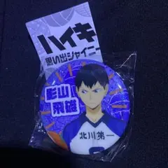 ますみ様 リクエスト 2点 まとめ商品