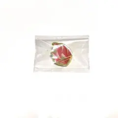 エリオスR ピンズ アキラ