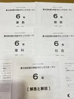 2025年最新】合格力判定サピックスオープンの人気アイテム - メルカリ