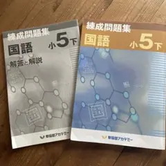 最新版　錬成問題集 セット 社会 理科 国語　小5下　早稲田アカデミー　ワセアカ 早稲田アカデミー 小5 練成問題集 国語/解答と解説 2021 計2冊 sale