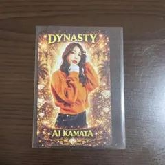 鎌田愛プロ ダーツライブカード 超レア - メルカリ
