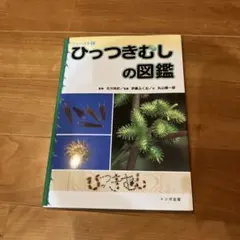 Item thumbnail for item 2c977312-1204-4485-8bcc-5baaabbda633