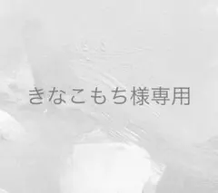 きなこもち様専用　3点おまとめ