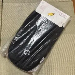 Item thumbnail for item 92e777b0-00bf-4788-9be2-19ed8f3cafd6